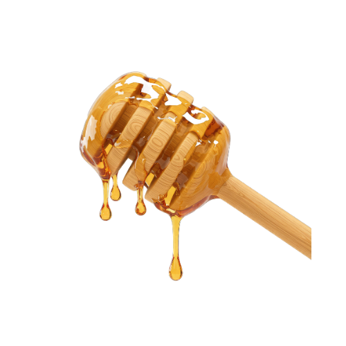 Untitled design (27)