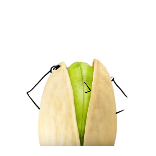 Untitled design (31)